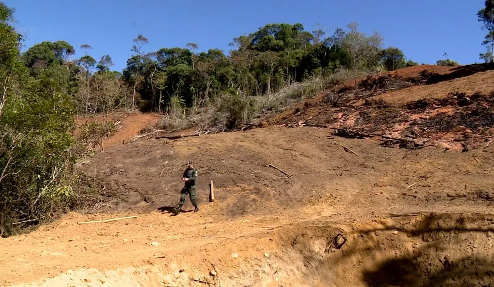 Foco foi o município de Santa Teresa, que possui um grande fragmento de mata atlântica preservada e em recuperação ?- Foto: Reprodução/TV Gazeta