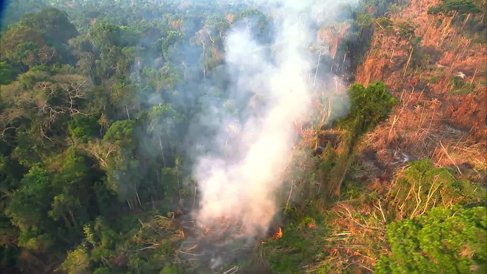 Destruição da Amazônia influencia diretamente no clima do país - Foto: Globo Repórter