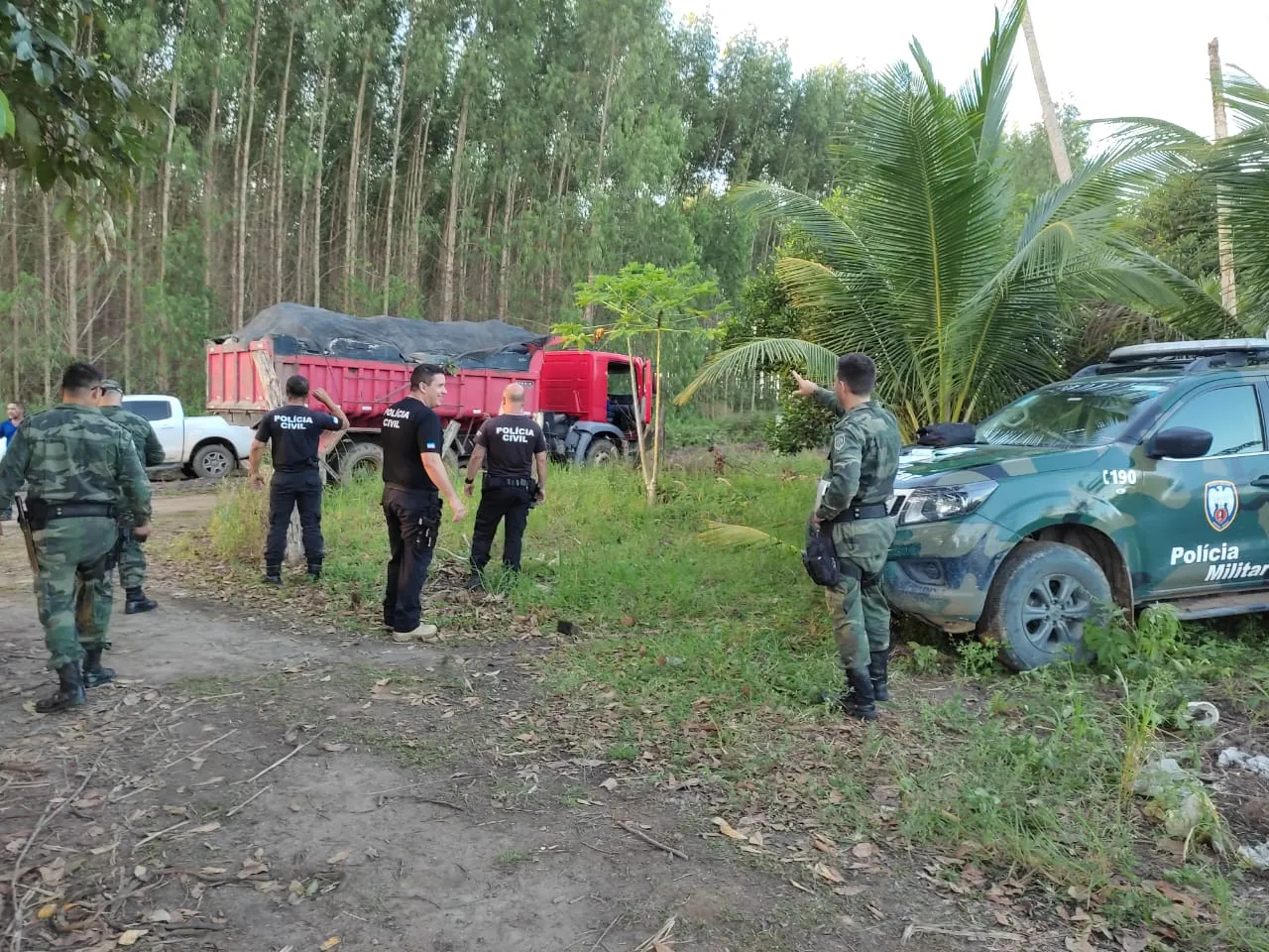 Material foi apreendido em ação conjunta em uma propriedade rural do município.