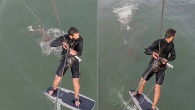 Kitesurfista é perseguido por tubarão Foto: Reprodução/Instagram