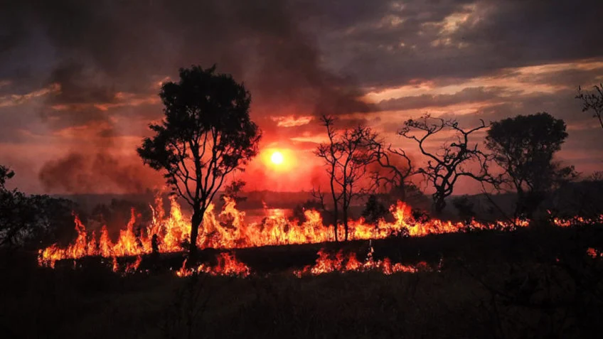 Relatórios apontam que a Europa deverá ser mais impactada com as ondas de calor nos próximos anos 20.jul.2022 (quarta-feira) - 10h23