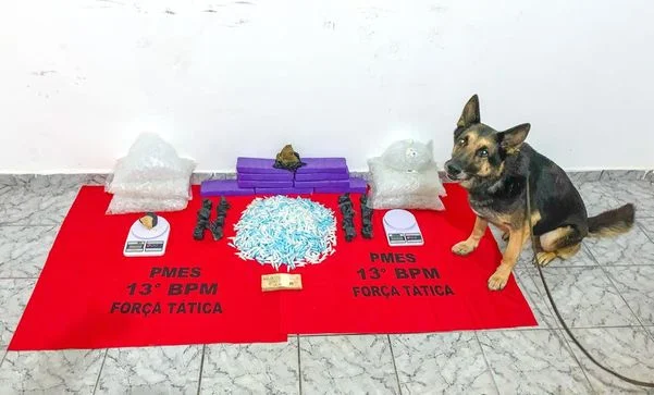 Maconha, crack e mais de mil pinos de cocaína foram encontrados na casa do suspeito. Crédito: Divulgação/Polícia Militar