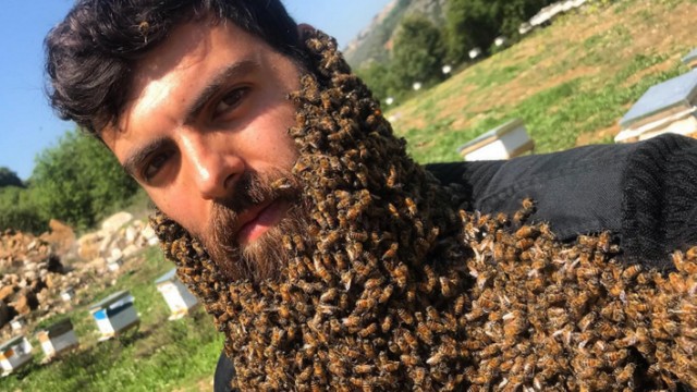 Apicultor libanês faz sucesso nas redes sociais com fotos repletos de abelhas Foto: Reprodução
