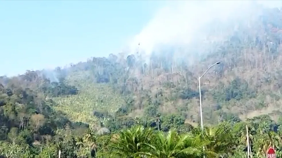 Incêndio de grandes proporções atinge parque municipal no ES - Foto: Reprodução/TV Gazeta