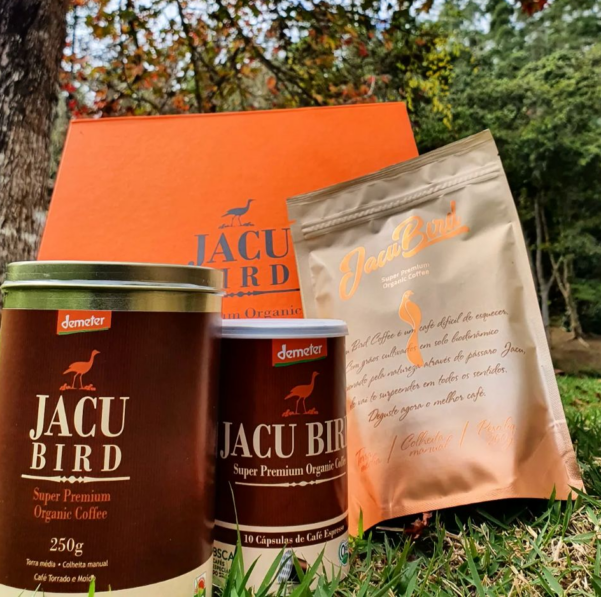 Café produzido com grãos extraídos das fezes do pássaro Jacu está entre os mais caros do mundo