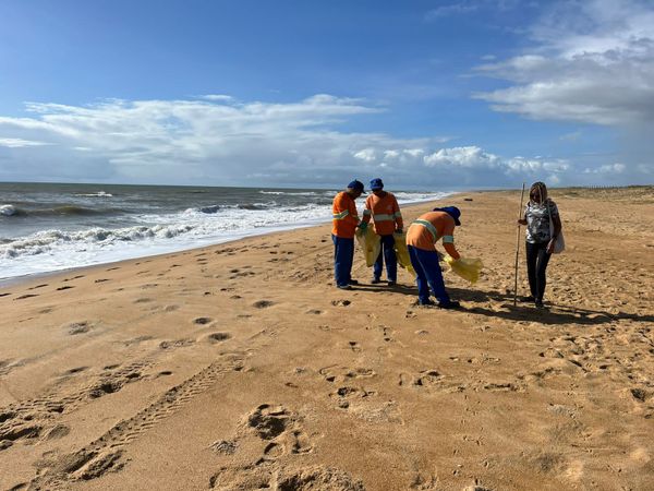 Equipes realizaram limpeza em praias de Linhares . Crédito: Prefeitura de Linhares / Divulgação
