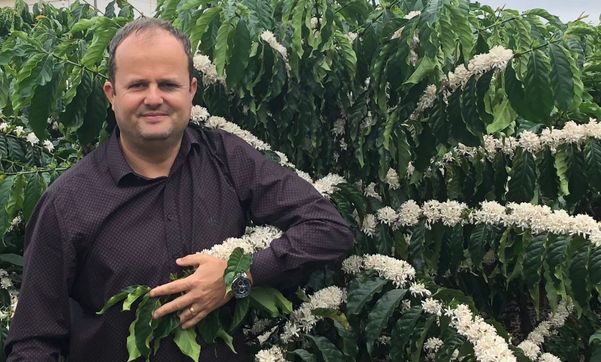 Fábio Luiz Partelli Café com alto teor de cafeína produzido no ES foi identificado por pesquisadores da Ufes. Crédito: Fábio Partelli/Acervo pessoal