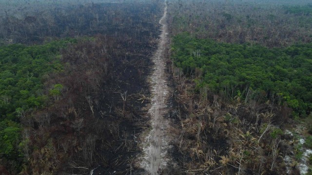 Área devastada na Amazônia Foto: MICHAEL DANTAS / AFP