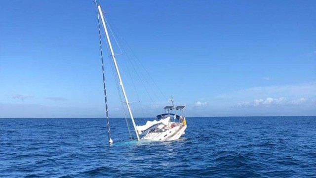 Veleiro afunda após ser atingido por orcas no litoral português Foto: Reprodução/Twitter