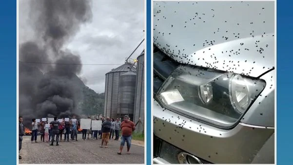 Moradores fazem protesto após invasão de moscas em Venda Nova. (Leitor| A Gazeta )