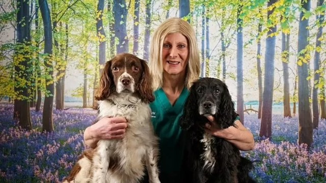 'Um labrador me deu uma cabeçada no peito e salvou minha vida', disse a veterinária Angie Shaw Foto: Divulgação/Beechwood Vets