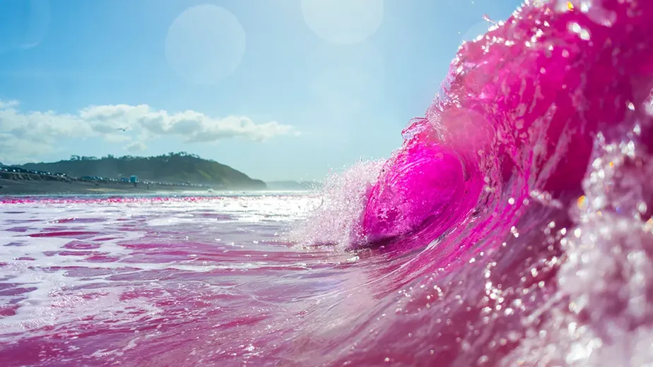Mar tingido de rosa em San Diego - Foto: Divulgação/Erik Jepsen/UC San Diego