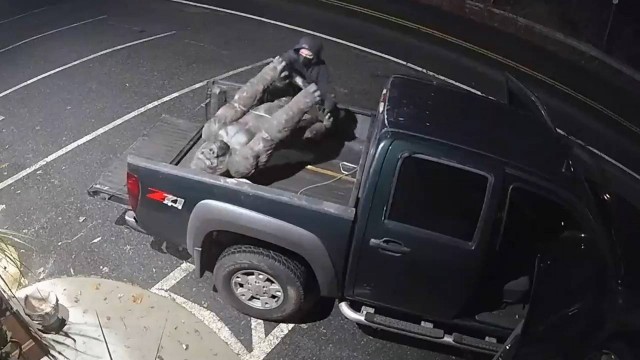 Vídeo mostra homem roubando estátua de gorila em Kensington, nos Estados Unidos Foto: Reprodução