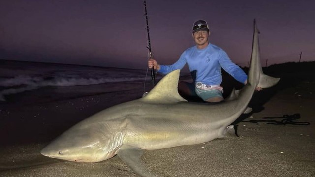 Michael Hengel, de 22 anos, pescou um tubarão com vara e anzol Foto: Arquivo pessoal