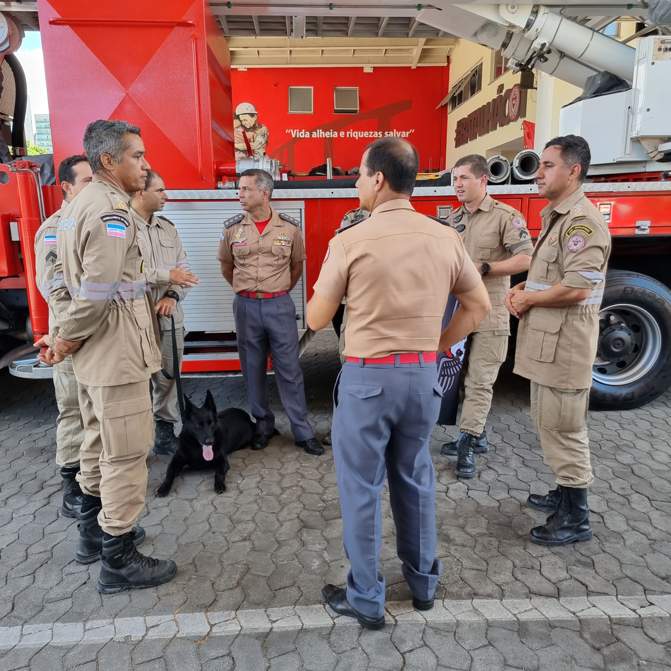 Foto: Corpo de Bombeiros/Divulgação - Equipe de bombeiros enviada para a Missão Humanitária Brasileira na Turquia junto com a cadela Case.