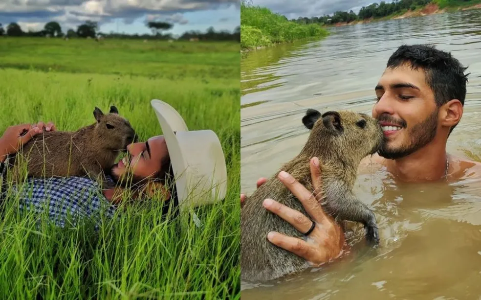 Fazendeiro do interior do Amazonas mostrava rotina com a capivara nas redes sociais. ?- Foto: Divulgação