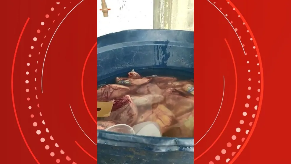 Açougue de supermercado do ES é interditado após carne ser encontrada armazenada de forma inadequada - Foto: Reprodução/TV Gazeta