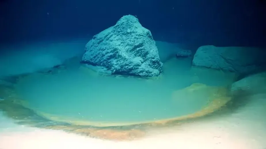 Piscinas de salmoura matam ou atordoam instantaneamente todas as criaturas que se aproximam demais Reprodução / OceanX