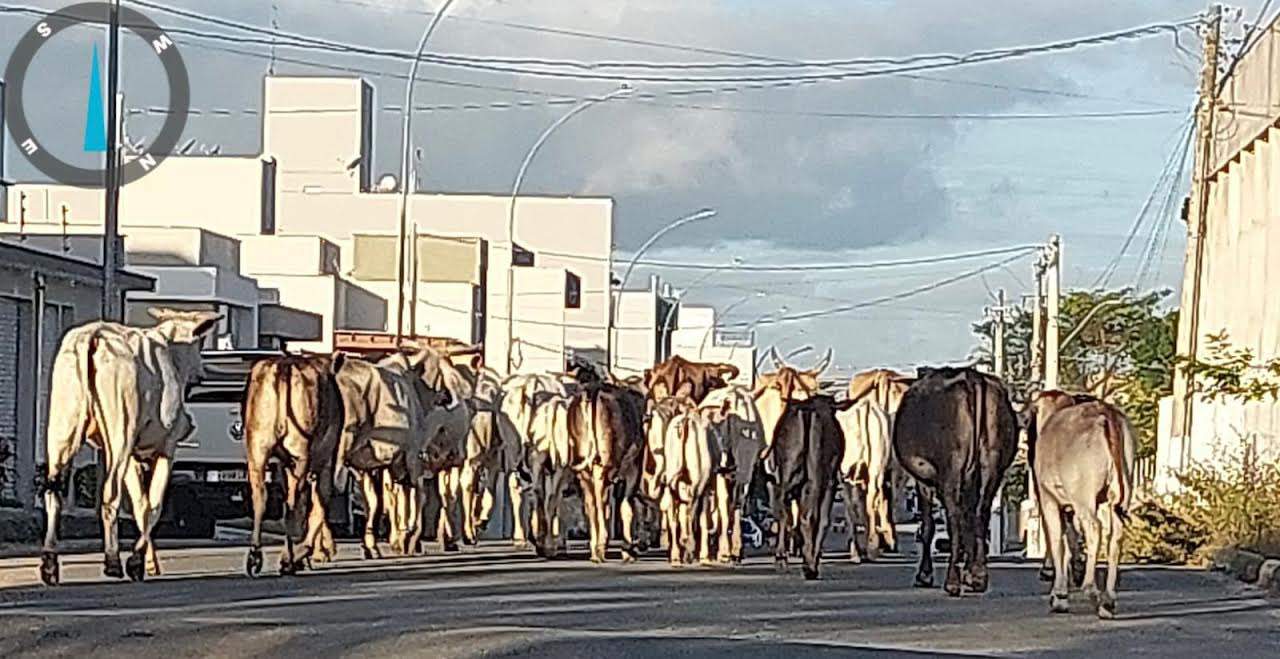 Foto: Prefeitura de Linhares