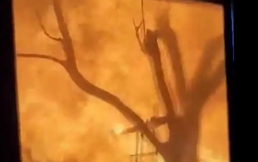 Vídeo mostra moradores em meio ao fogo durante fuga de incêndio no Havaí  Foto: Reprodução