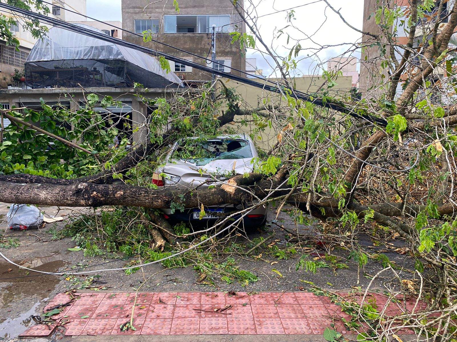 Foto: divulgação defesa civil