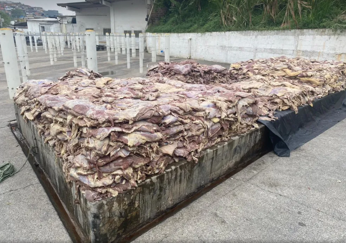 Carne apodrecendo que seria revendida é encontrada em Carapicuíba  Foto: Divulgação