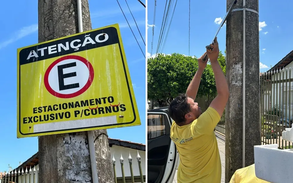 Placa exclusiva para 'cornos' é retirada em rua de Goiânia, Goiás ?- Foto: Michel Gomes/g1 Goiás e Divulgação/SMM