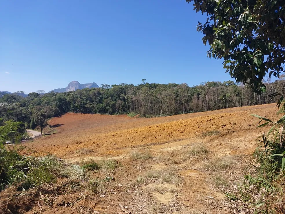 Área desmatada em Venda Nova do Imigrante equivale a seis campos de futebol - Foto: Divulgação/ Idaf