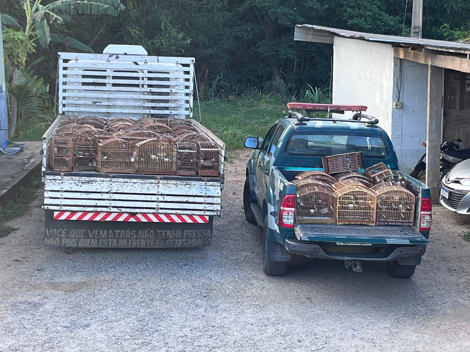 Foto: Polícia Militar Ambiental