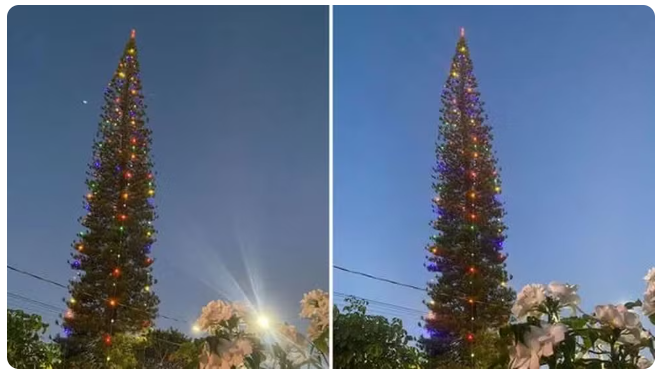 Tradição de 15 anos: Pinheiro de 38 metros ganha enfeites de Natal e encanta em Conceição da Barra (ES)  Foto: Divulgação