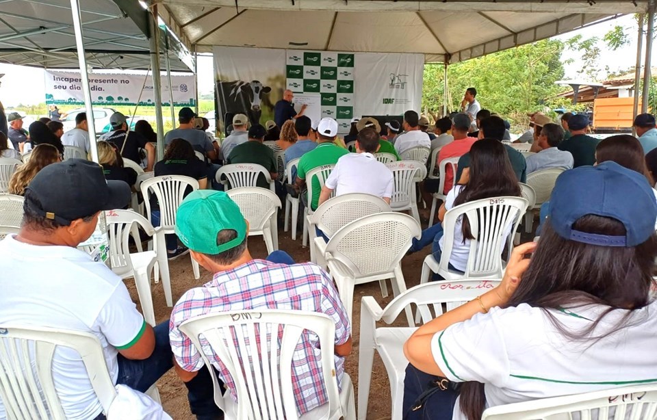 Foto: Aparecida Nascimento