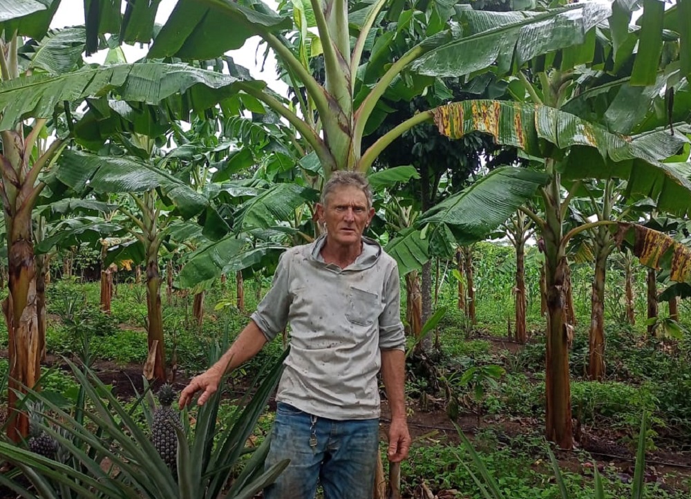 Primo Dalmásio (foto) e Edmundo Pereira exemplificam a força da agricultura familiar sustentável em Nova Venécia, impulsionando a saúde e a economia local. (*Fotos: Divulgação) 