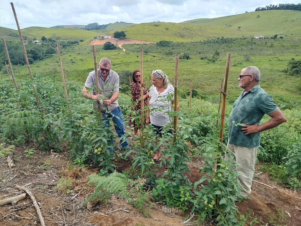 Fotos: Divulgação 