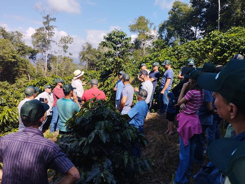 Foto: Reprodução/Dia de Campo nesta quarta-feira (26) promoveu visita à unidade demonstrativa em Domingos Martins 