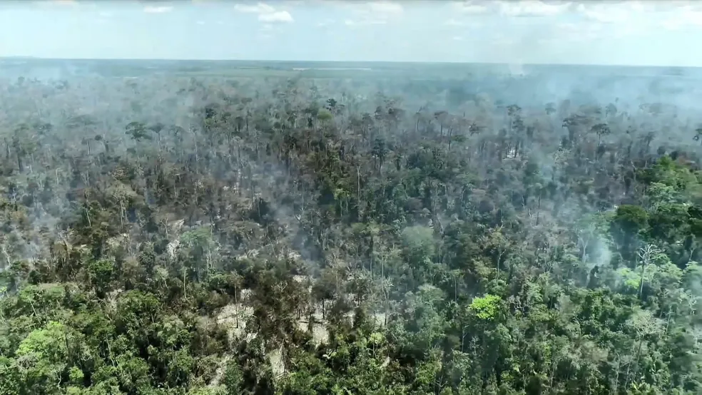 Incêndio atinge área de preservação em Sooretama, no Norte do Espírito Santo - Foto: Reprodução/TV Gazeta