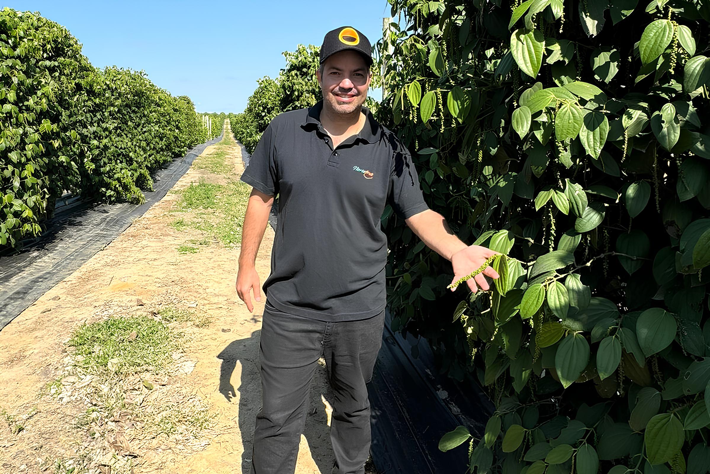 Foto: arquivo pessoal Uma novidade na colheita de pimenta-do-reino promete revolucionar a produção da especiaria no Espírito Santo. Produtor de pimenta em Pinheiros, no Norte do Estado, desde 2022,