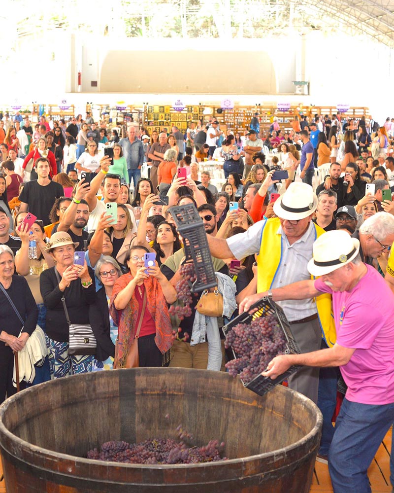 Fotógrafo: Marcelo Pita Leia mais em: https://conexaosafra.com/eventos/santa-teresa-se-prepara-para-a-25a-festa-do-vinho-e-da-uva/