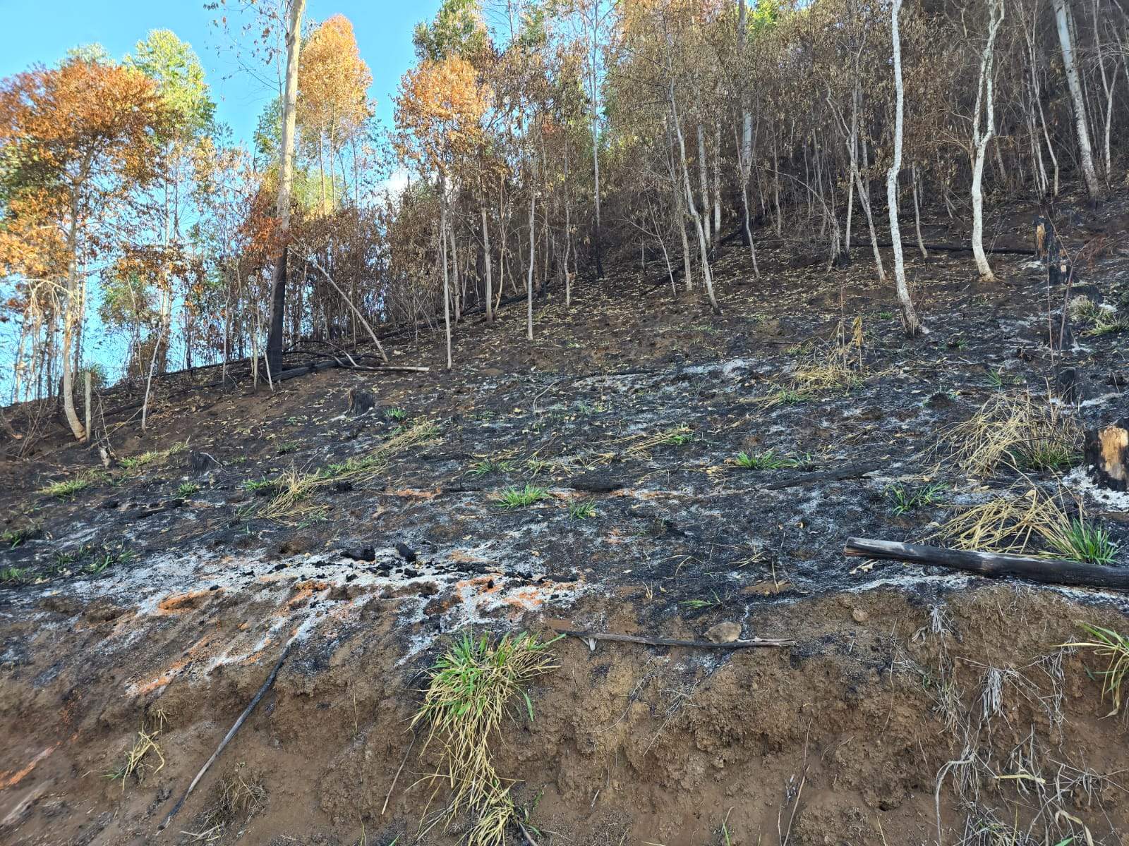 Foto: Polícia Militar Ambiental