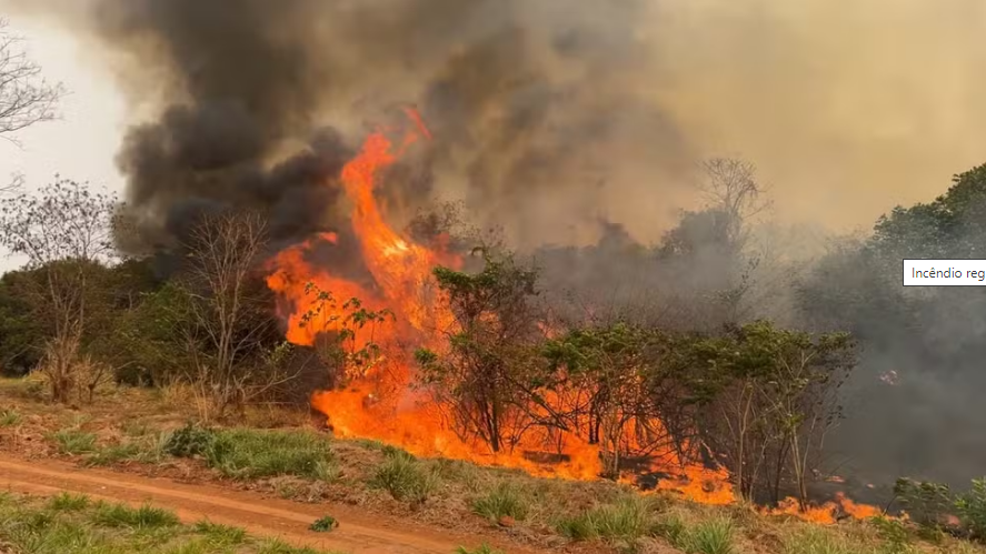 Incêndio registrado na região de São José do Rio Preto (SP). Foto: TV TEM / Rogério Pedrozo