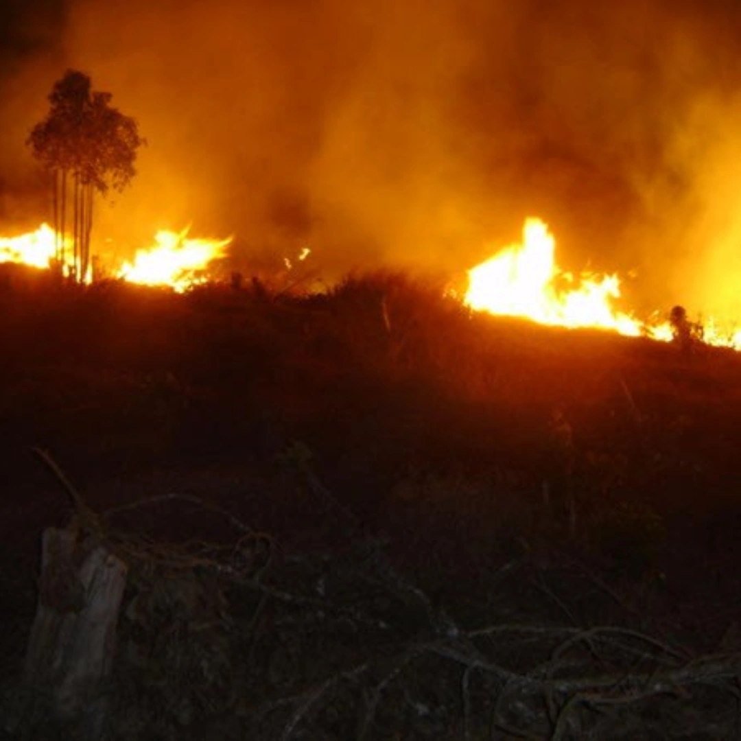 Incêndio registrado no ES, no mês de agosto. Foto: divulgação