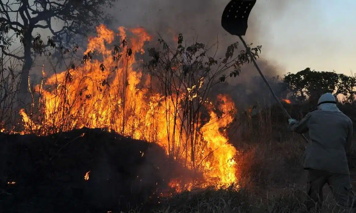 Foto: Valter Campanato/Agência Brasil 