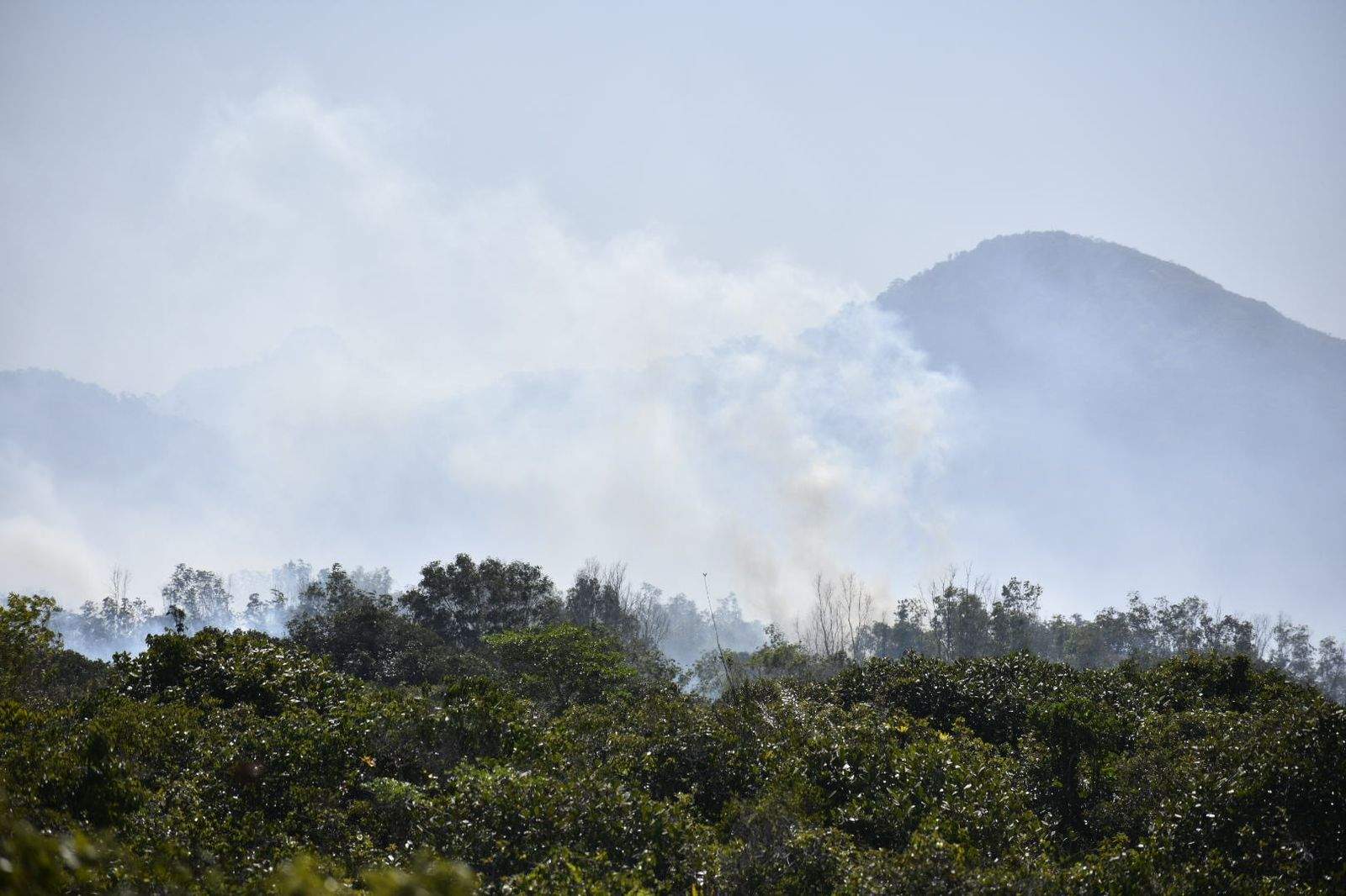 Foto: Thiago Soares/Folha Vitória