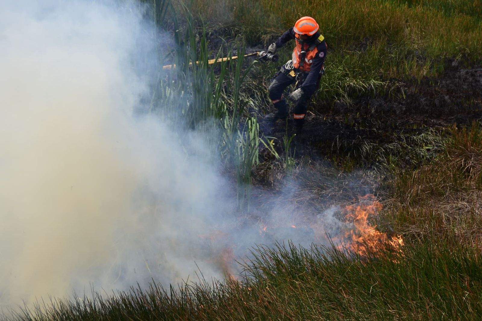 Foto: Thiago Soares/Folha Vitória