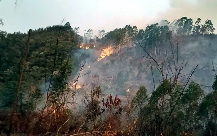 Dono de terreno é preso após causar incêndio em Marechal Floriano