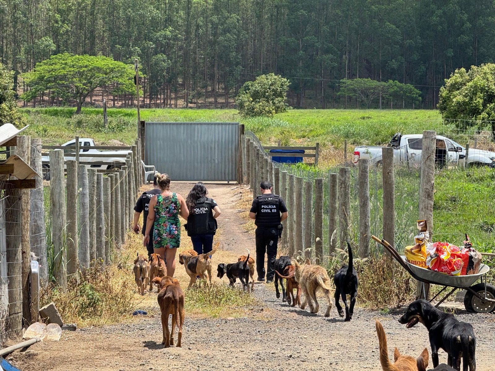 Foto: divulgação/PCES