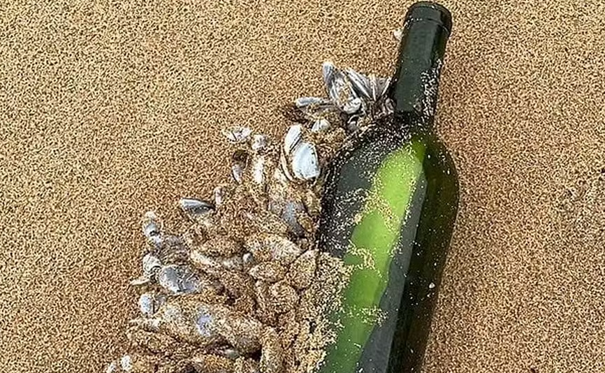 A garrafa de vinho foi encontrada na última segunda-feira em uma praia de Peterborough, no sudoeste de Victoria ? Foto: Reprodução/Facebook