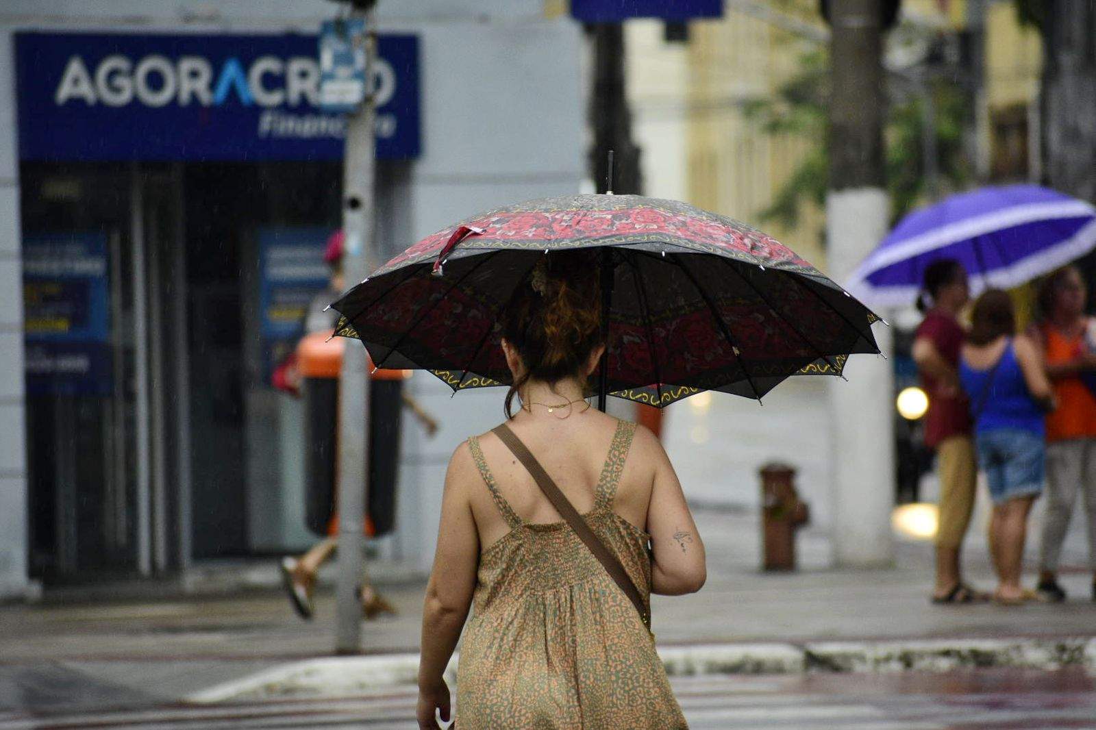 Foto: Thiago Soares/Folha Vitória