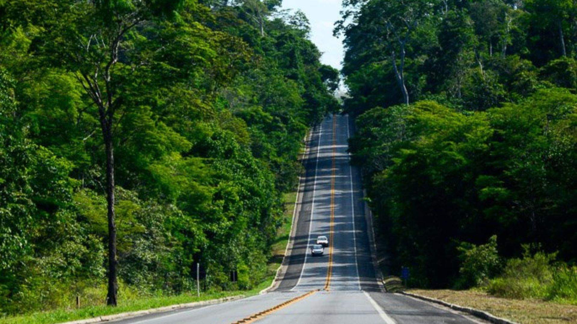 Foto: Divulgação/ Eco101