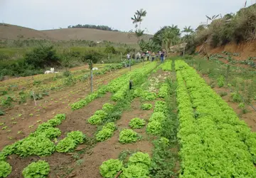 Agricultores de Ecoporanga se regularizam para venda direta de produtos orgânicos
