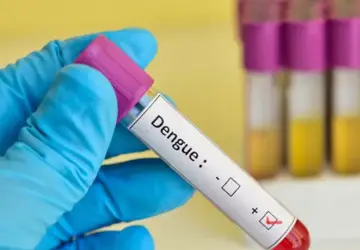 Chega a 15 o número de mortes por dengue no ES
